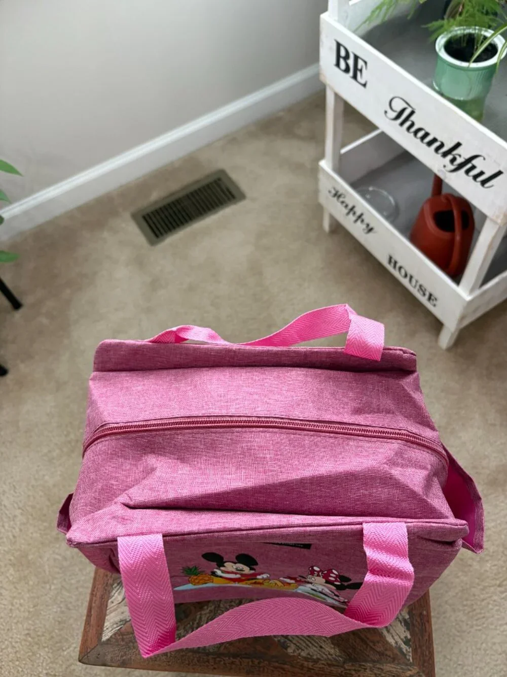 Brivilas Pink Mickey and Minnie Mouse, insulated lunch bag, and Blue Bento Box